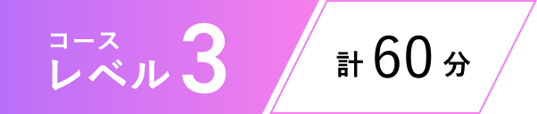 コースレベル3 計60分
